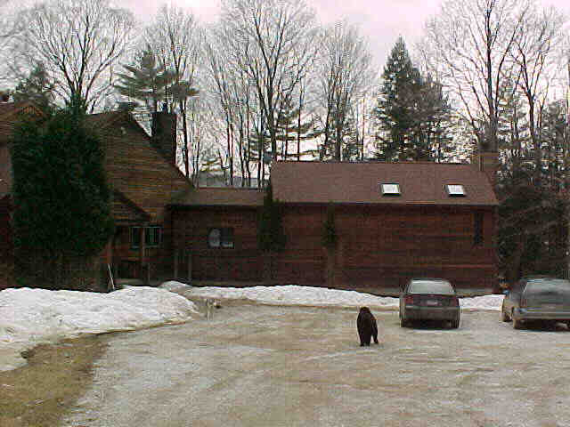 Building photograph for 65 WASHINEE HEIGHTS ROAD